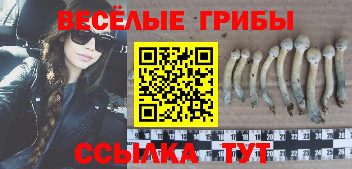 Галлюциногенные грибы ЛСД  Вход с VPN  Кирово-Чепецк 