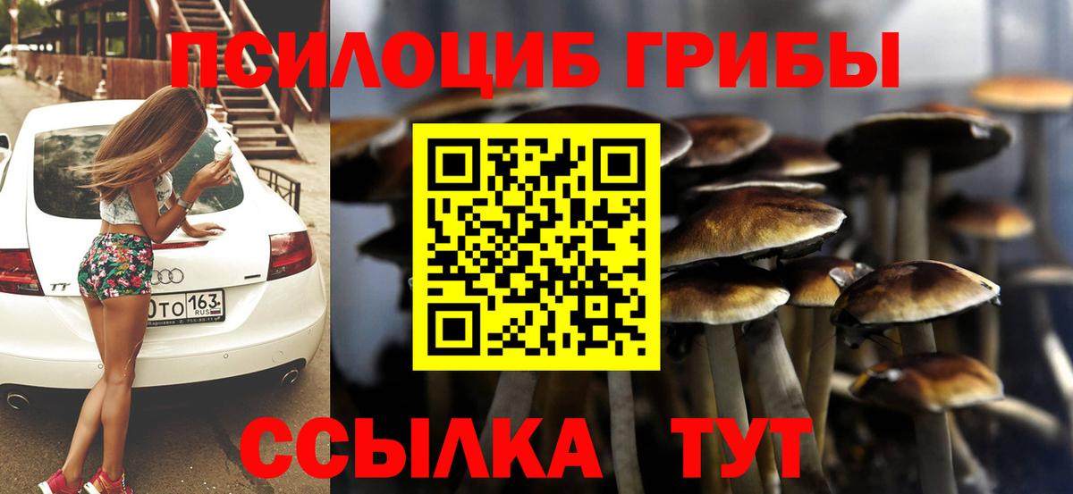 Псилоцибиновые грибы прущие грибы Кирово-Чепецк